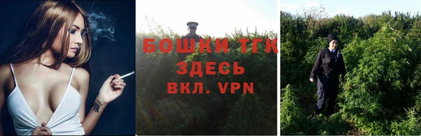 spice Богданович
