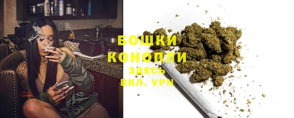 spice Богданович