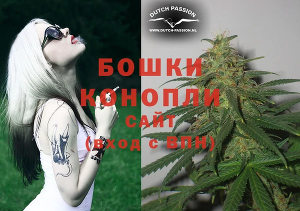 мдпв Богородицк