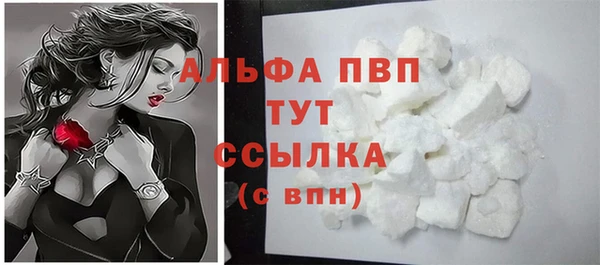 spice Богданович