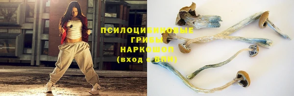 гидропоника Богородск