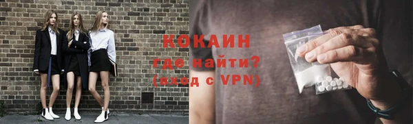 мдпв Богородицк