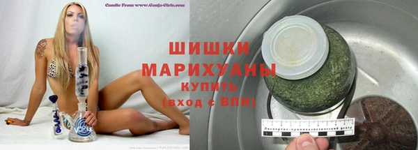 мдпв Богородицк