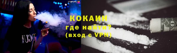 spice Богданович