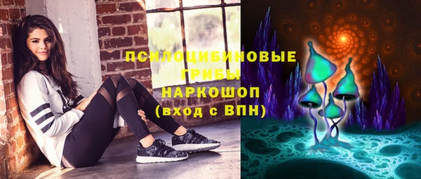 spice Богданович