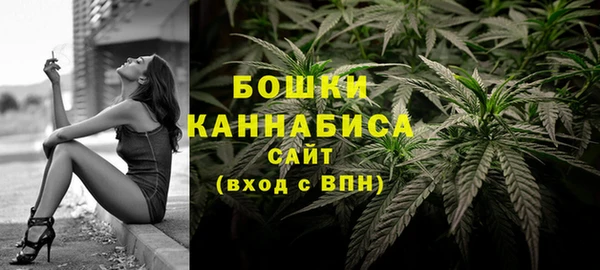 spice Богданович