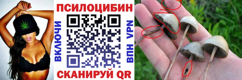 Псилоцибиновые грибы мицелий  Монино 