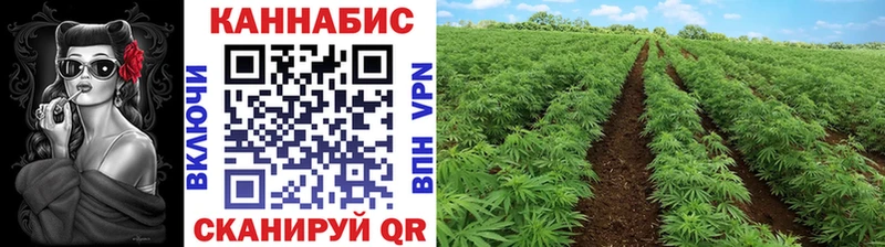 как найти закладки  Монино  Шишки марихуана ГИДРОПОН 